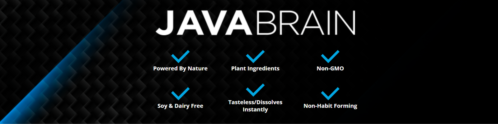 JavaBrain quality standards